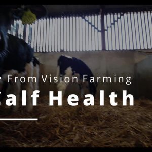 Calf Health Course