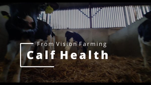 Calf Health Course
